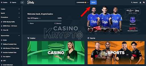 stake casino deposit