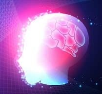 The Psychology Behind Our Love for Cryptocurrencies and Online Crypto Casinos