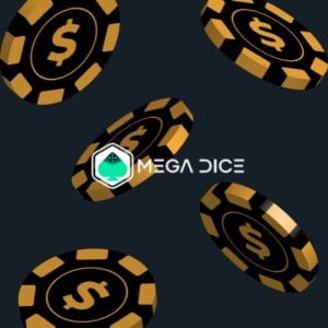 megadice casino review